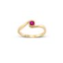 Δαχτυλίδι Gems από χρυσό 18K με ρουμπίνι