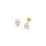 Σκουλαρίκια Pearls από χρυσό 14K με freshwater pearls