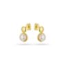 Σκουλαρίκια Pearls από επιχρυσωμένο ασήμι 925° με freshwater pearls