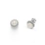 Σκουλαρίκια Pearls από επιροδιωμένο ασήμι 925° με freshwater pearls